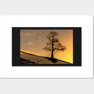 Alston - Lone Tree Sunset Posters and Art